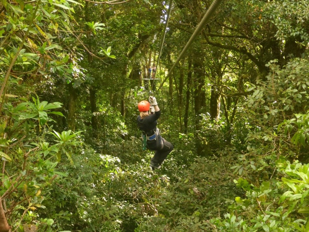 The lush green canopy of the Monteverde cloud forest frames this zip line perfectly.