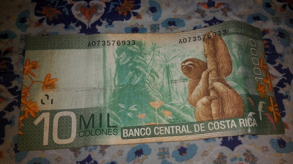 The Costa Rican 10000 colones bill features a sloth.