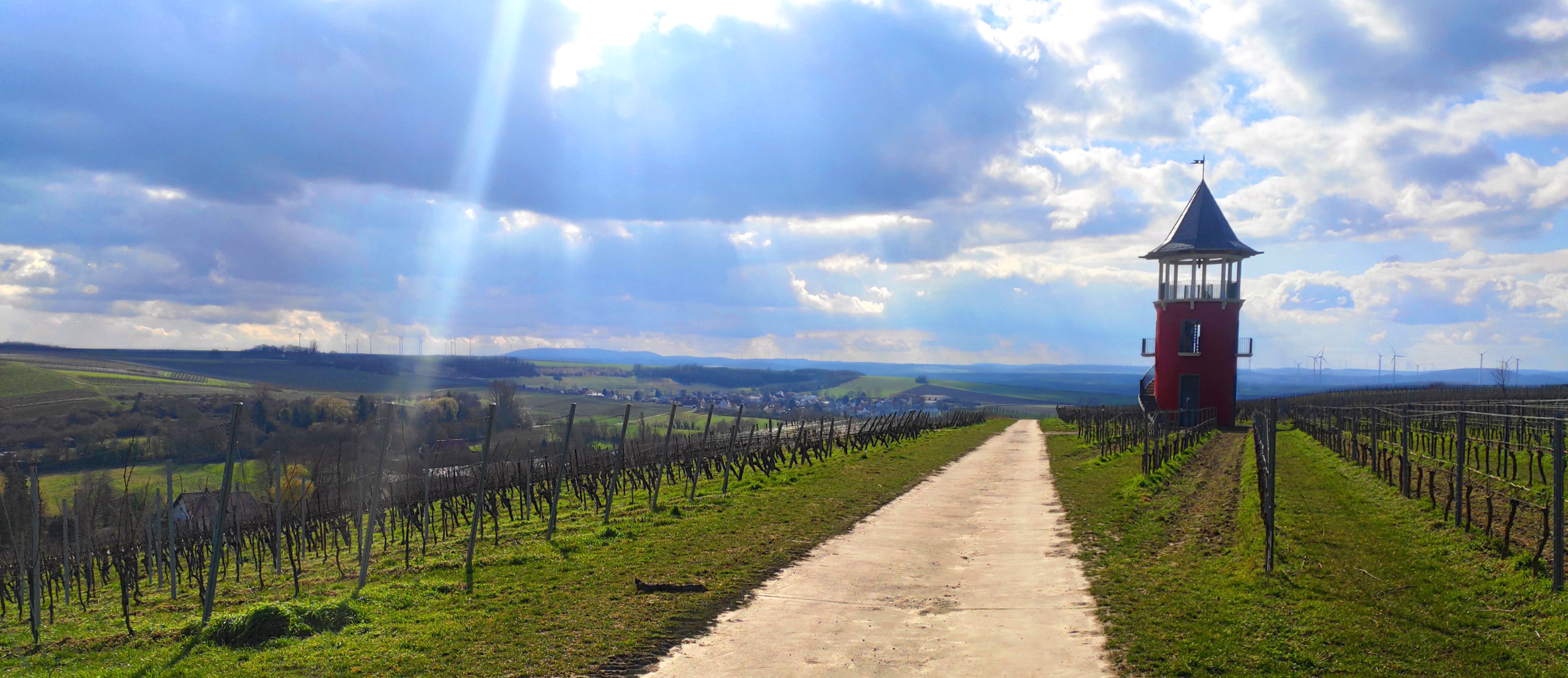 Right at the exit of Wörrstadt is where you get on the trail. One of the first sights you'll see is the Burgunderturm which offers spectacular views of the vineyards and neighbouring villages.